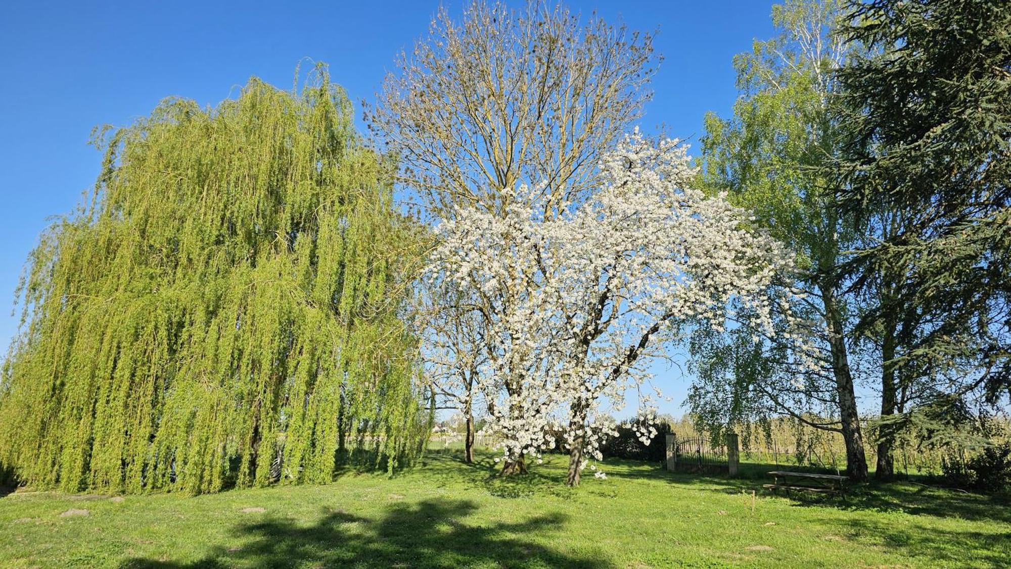 דירות Villebernier Domaine Des Moizons, Le Figuier מראה חיצוני תמונה